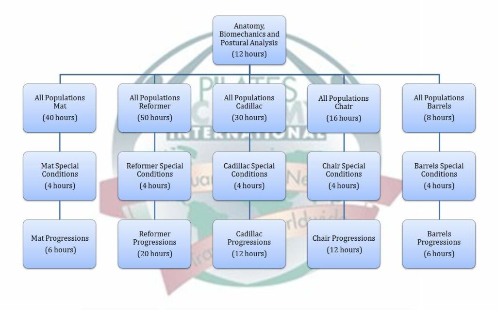 Pilates Academy International flow chart